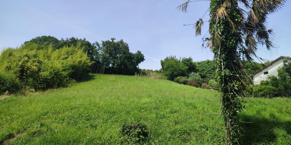 terrain à LABATUT (40300)
