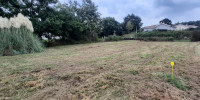 terrain à SIEST (40180)