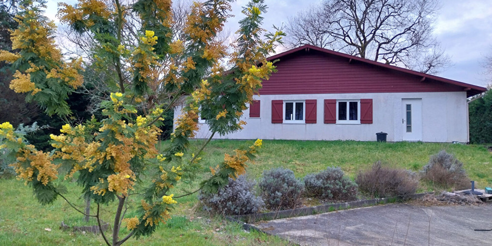 maison à ST PAUL LES DAX (40990)