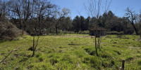 terrain à ST AVIT (40090)