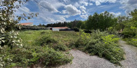 terrain à RION DES LANDES (40370)