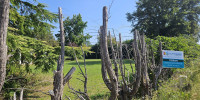 terrain à PARENTIS EN BORN (40160)