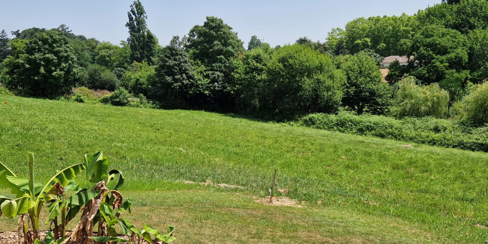 terrain à HABAS (40290)