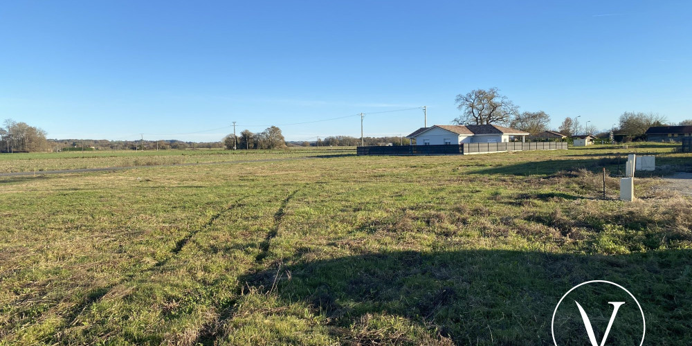 terrain à MONSEGUR (40700)