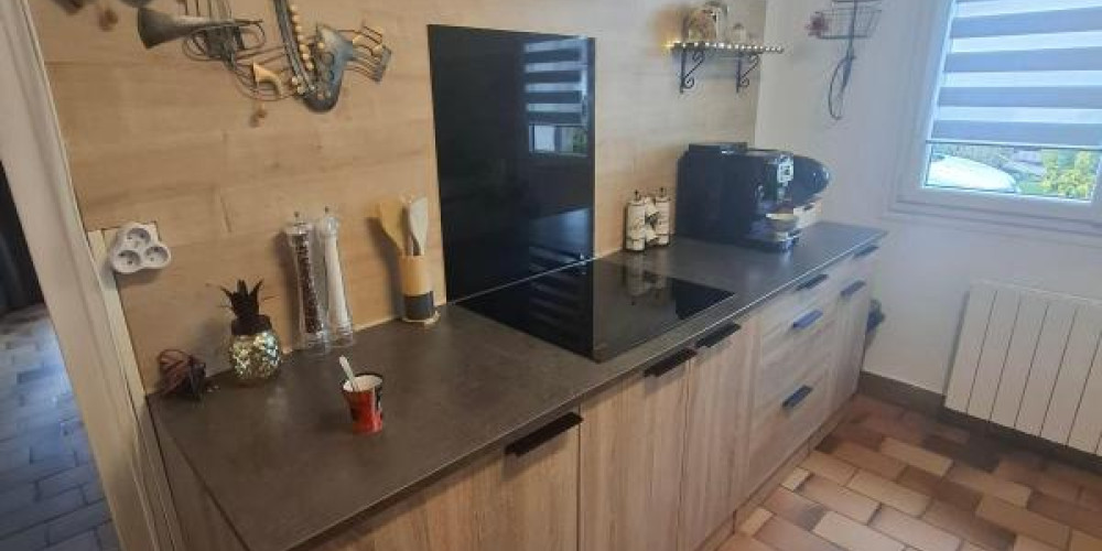 maison à VILLENEUVE DE MARSAN (40190)