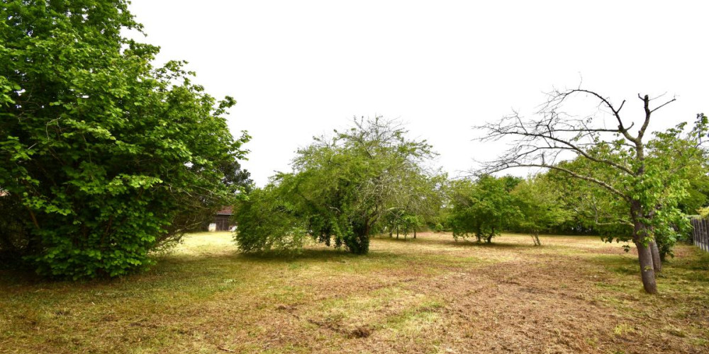 terrain à TOSSE (40230)