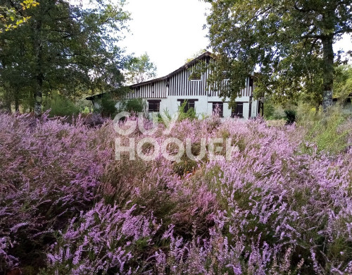 maison  RION DES LANDES