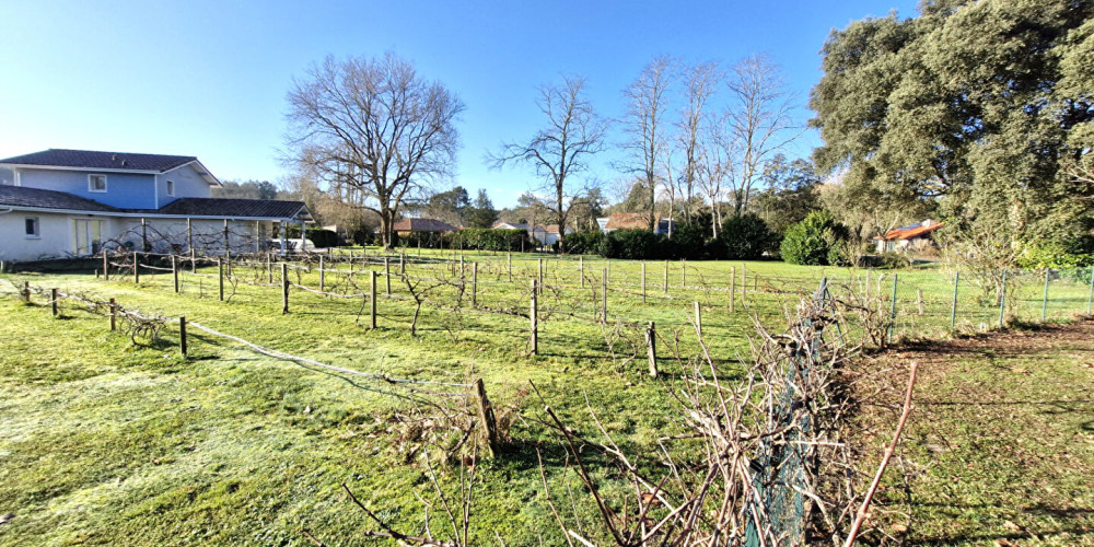 terrain à ST MICHEL ESCALUS (40550)