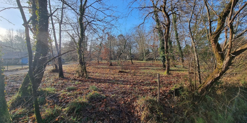 terrain à MEZOS (40170)