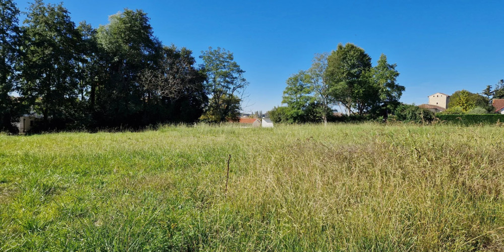 terrain à PEY (40300)