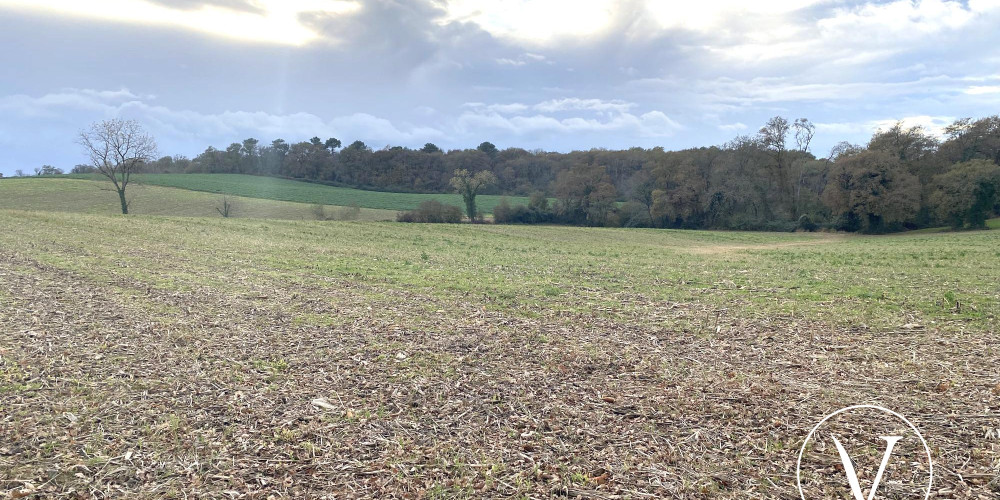 terrain à CASTELNAU TURSAN (40320)