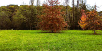 terrain à STE COLOMBE (40700)