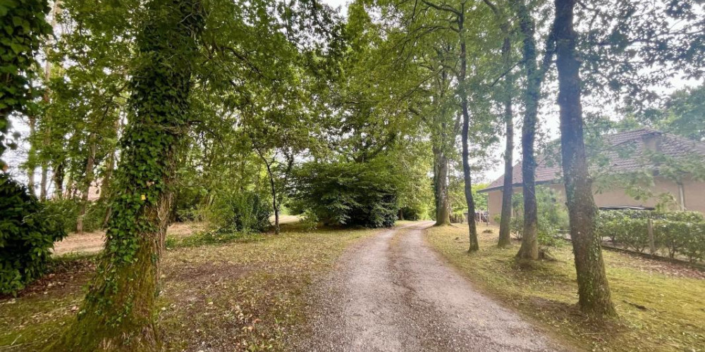 terrain à JOSSE (40230)