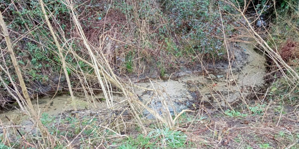 terrain à RION DES LANDES (40370)