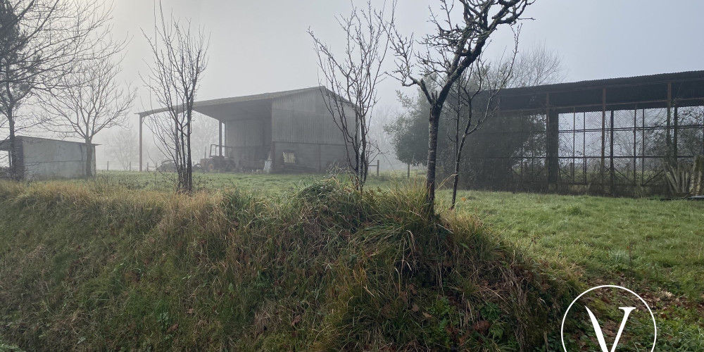 maison à BAHUS SOUBIRAN (40320)