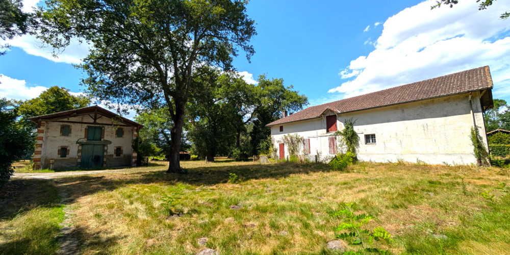 maison à MONT DE MARSAN (40000)