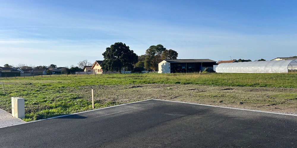 terrain à TOSSE (40230)