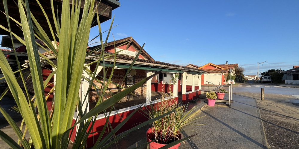 local commercial à ST JULIEN EN BORN (40170)