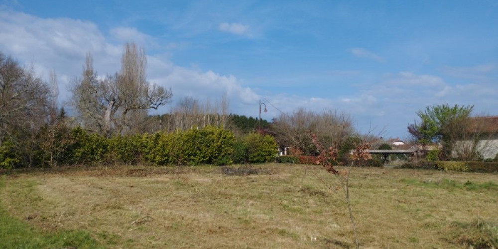 terrain à RION DES LANDES (40370)