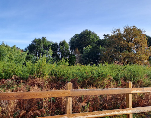 terrain  MOLIETS ET MAA