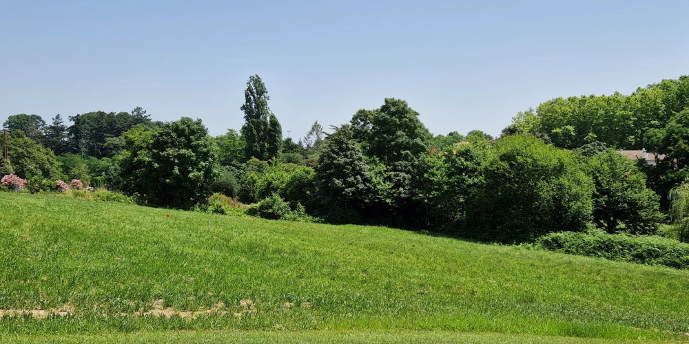 terrain à HABAS (40290)