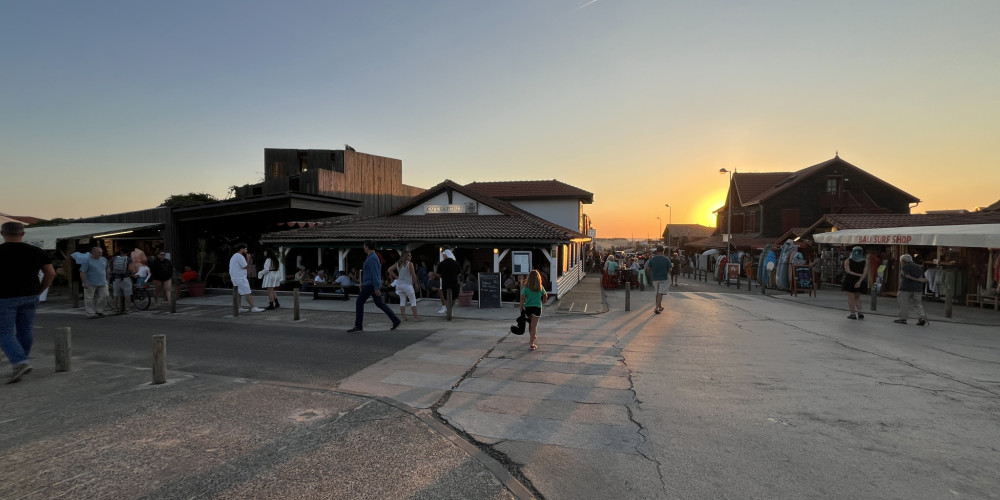local commercial à ST JULIEN EN BORN (40170)