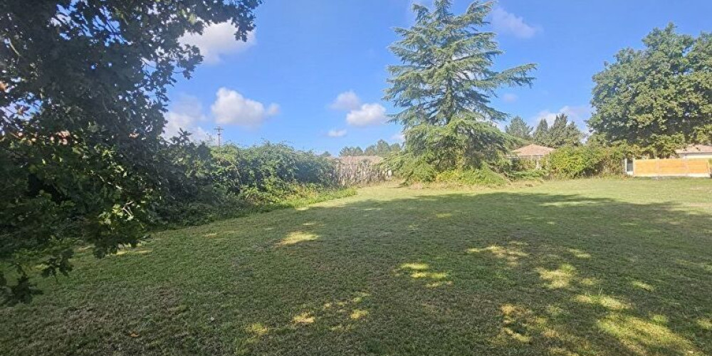 terrain à PARENTIS EN BORN (40160)
