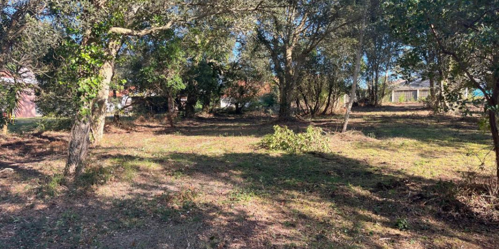 terrain à LABENNE (40530)