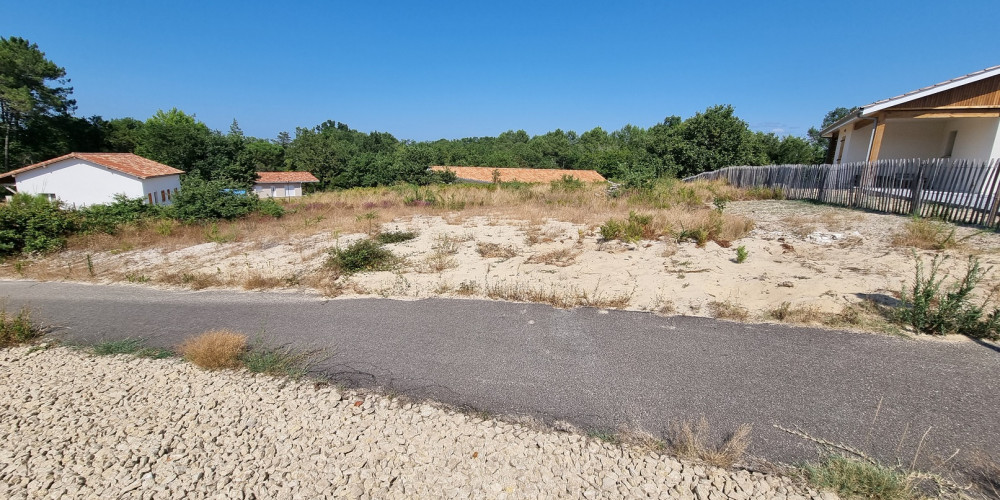 terrain à LIT ET MIXE (40170)