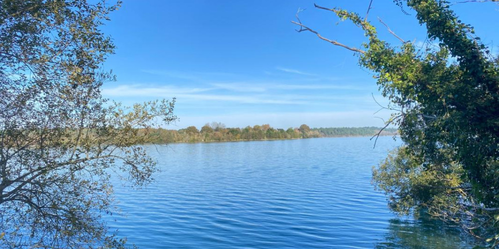 maison à MORCENX (40110)