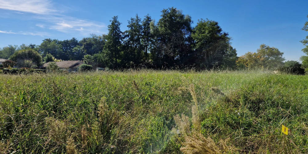 terrain à PEY (40300)