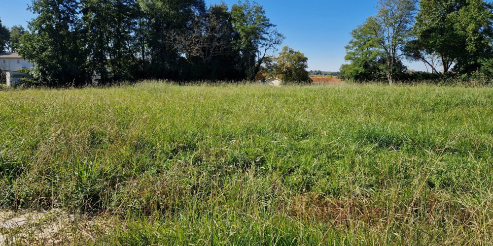 terrain à PEY (40300)