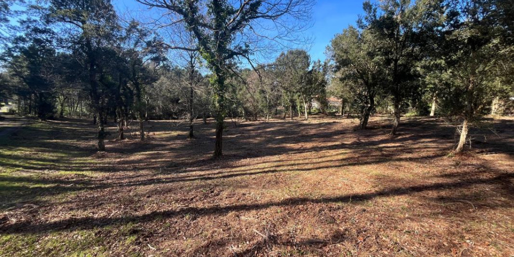 terrain à LABENNE (40530)