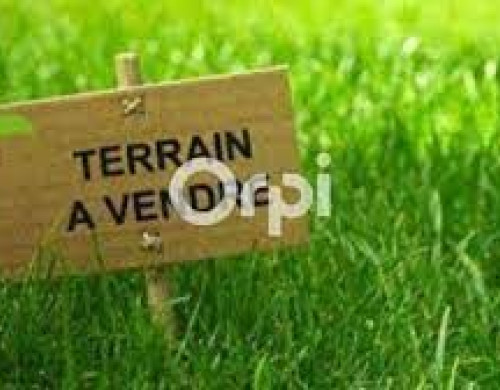 terrain  ROQUEFORT