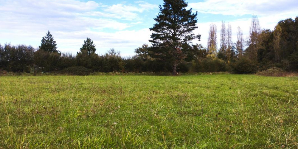 terrain à STE COLOMBE (40700)