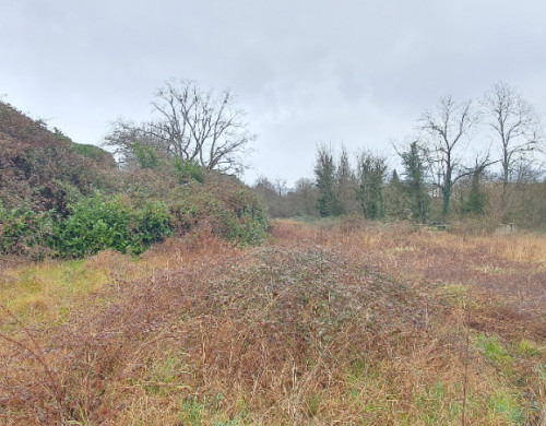 terrain  MONT DE MARSAN