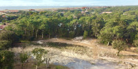 terrain à SEIGNOSSE (40510)