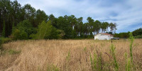 terrain à RION DES LANDES (40370)