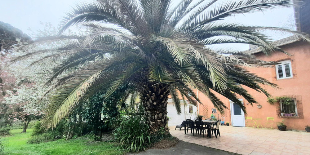 maison à SAUBRIGUES (40230)