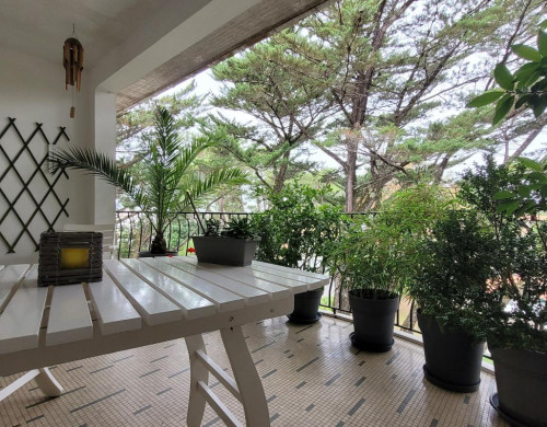 appartement  SOORTS HOSSEGOR