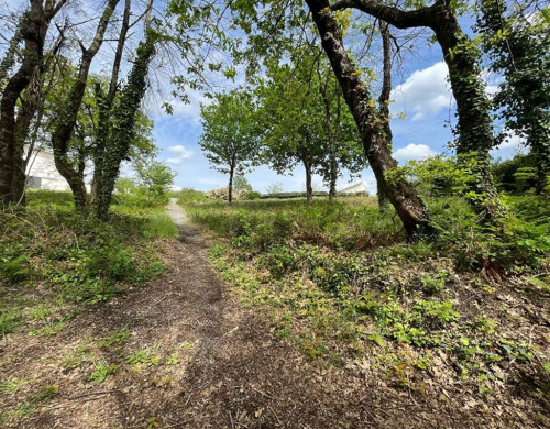 terrain  RION DES LANDES