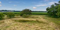 maison à UCHACQ ET PARENTIS (40090)