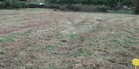 terrain à SIEST (40180)
