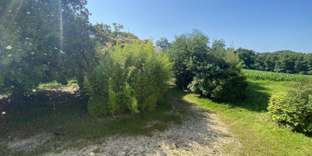 maison à TILH (40360)