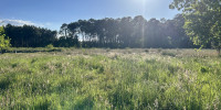 terrain à TOSSE (40230)