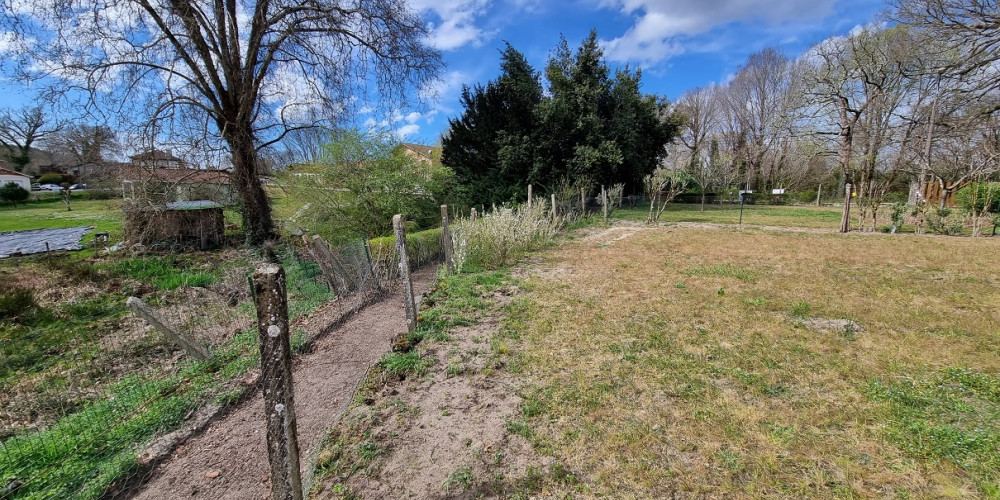 terrain à MEZOS (40170)