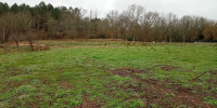 terrain à RION DES LANDES (40370)