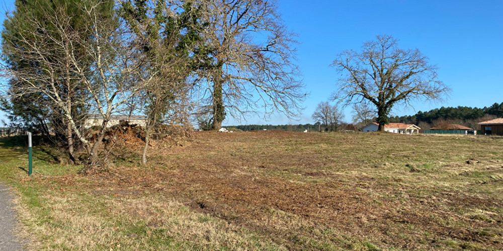 terrain à RION DES LANDES (40370)