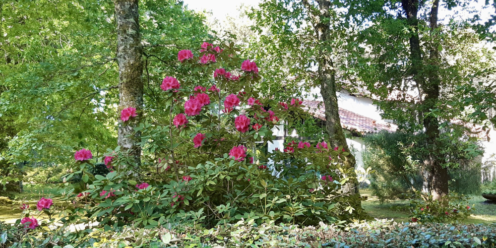 maison à SOUSTONS (40140)