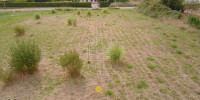 terrain à HAGETMAU (40700)